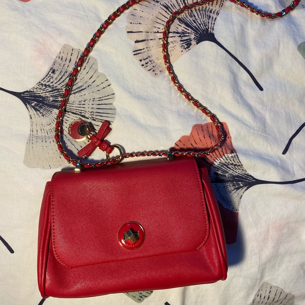 Charles Keith Crossbody Bag